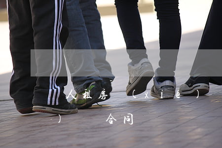 個人租房協(xié)議書(租房協(xié)議書合同)
