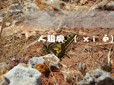 個人租房協(xié)議(租房合同模板)