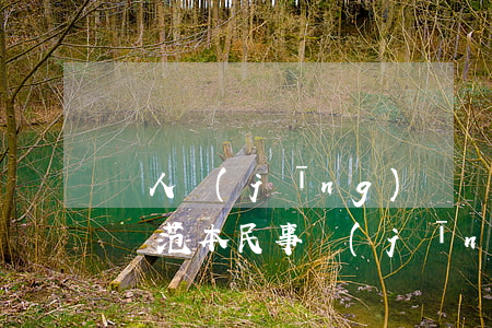個人經(jīng)濟糾紛協(xié)議書范本(民事經(jīng)濟糾紛協(xié)議書怎么寫)