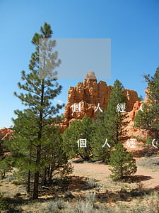 個人經(jīng)濟糾紛多少錢可以起訴(個人經(jīng)濟糾紛多少錢可以起訴派出所能不能扣人)