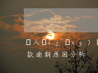 個人經(jīng)營性貸款逾期啦(個人貸款逾期原因分析)