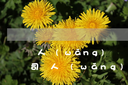 個人網(wǎng)貸債務(wù)重組公司(個人網(wǎng)貸債務(wù)重組公司怎么辦)