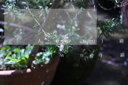 個人網(wǎng)貸逾期法院會查伴侶嗎-網(wǎng)貸逾期會查到配偶信息嗎