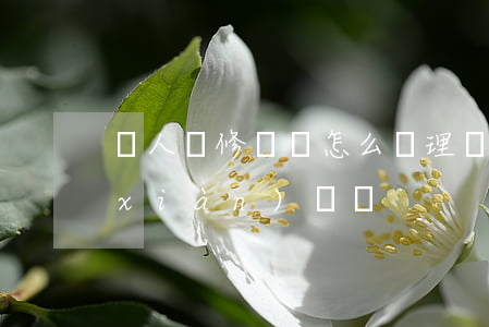 個人裝修糾紛怎么處理(裝修找的個人 出現(xiàn)糾紛)