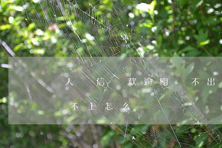 個人誠信貸款逾期還不出(個人信用貸款到期還不上怎么辦)