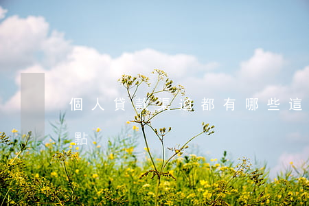 個人貸款渠道都有哪些（這三種渠道有哪些特點）