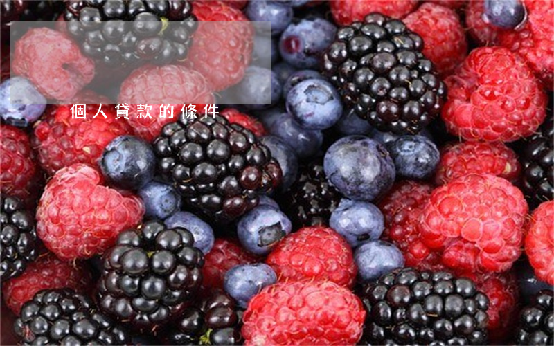 個人貸款的條件