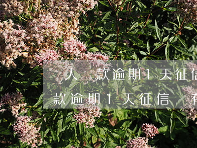 個人貸款逾期1天征信會有影響嗎-個人貸款逾期1天征信會有影響嗎知乎