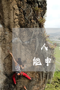 個人貸款逾期一天(個人貸款逾期一天上征信能申訴撤銷嗎?)