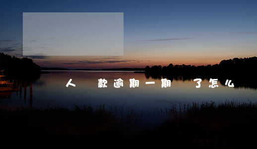個人貸款逾期一期還了怎么樣
