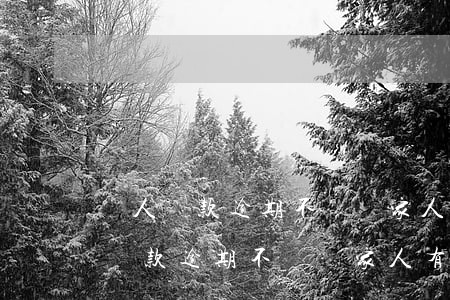 個人貸款逾期不還對家人有什么影響-個人貸款逾期不還對家人有什么影響嗎
