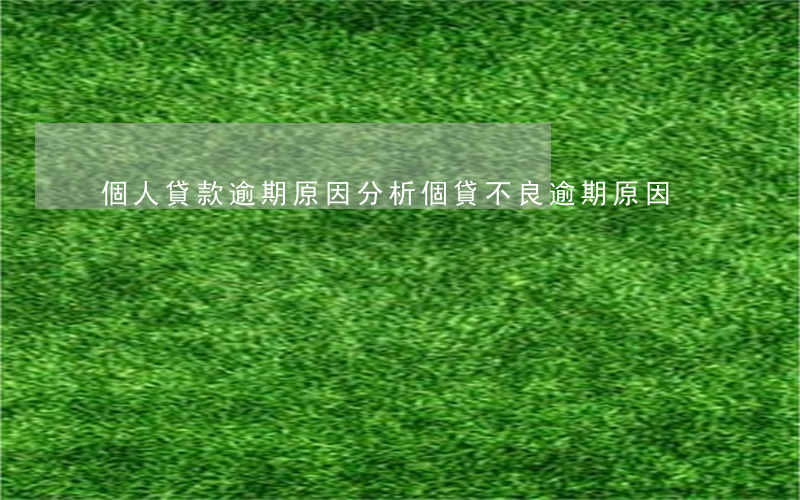 個人貸款逾期原因分析(個貸不良逾期原因)
