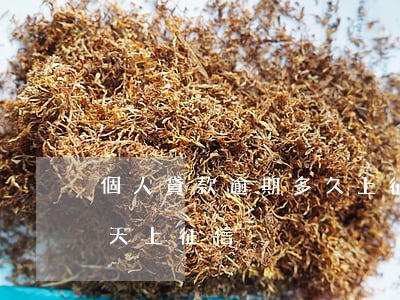 個人貸款逾期多久上征信(銀行貸款逾期多少天上征信)
