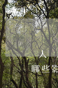 個人貸款逾期有什么影響(逾期會對個人造成哪些影響)