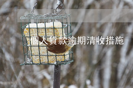 個人貸款逾期清收措施