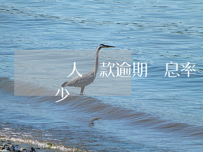 個人貸款逾期罰息率(貸款逾期罰息最高是多少)