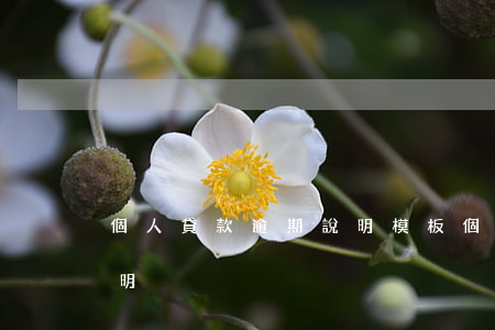 個人貸款逾期說明模板(個人貸款逾期情況說明)