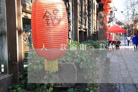 個人貸款逾期貸款的管理(處理貸款逾期的人)