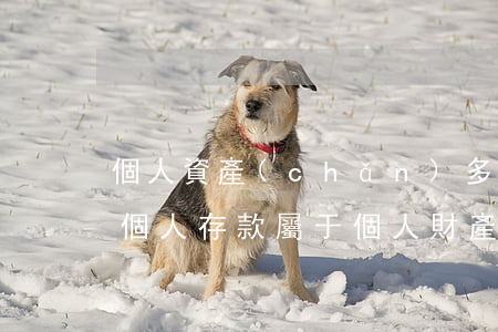 個人資產(chǎn)多少可以離婚(離婚后個人存款屬于個人財產(chǎn)嗎)