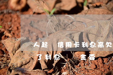 個人起訴信用卡利息高 欠信用卡錢被銀行起訴了利息違約金要還嗎