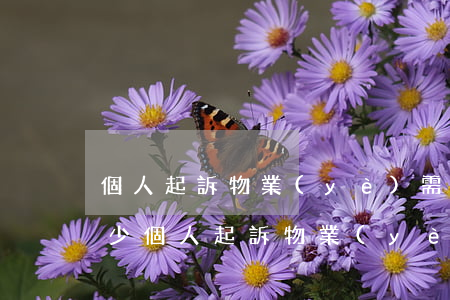 個人起訴物業(yè)需要請律師嗎費用多少(個人起訴物業(yè)需要請律師嗎費用多少)