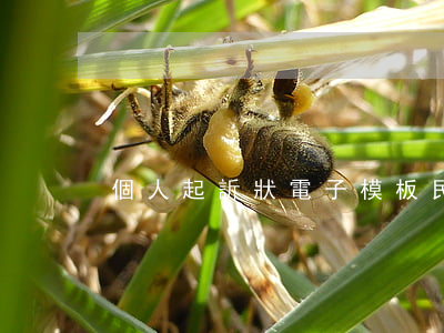 個人起訴狀電子模板(民事起訴狀模板)