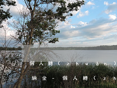 個人轉(zhuǎn)讓所得稅逾期繳納滯納金-個人轉(zhuǎn)讓所得稅逾期繳納滯納金怎么算
