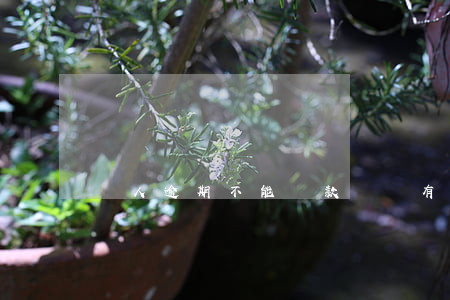 個人逾期不能貸款買車(有逾期能貸款買車嗎)