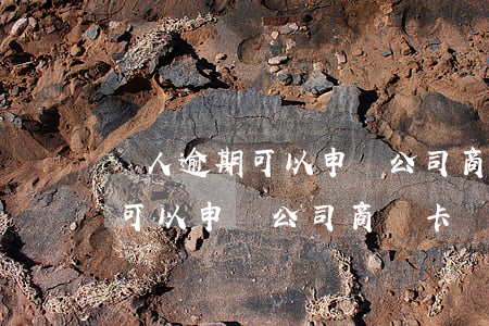 個人逾期可以申請公司商務卡嗎-個人逾期可以申請公司商務卡嗎