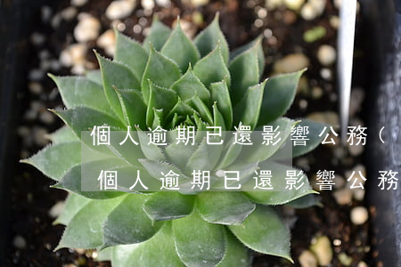 個人逾期已還影響公務(wù)員政審嗎-個人逾期已還影響公務(wù)員政審嗎知乎