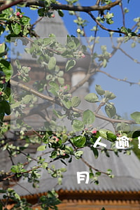 個人逾期影響信用貸款嗎(銀行貸款逾期一個月對個人信用有什么影響)