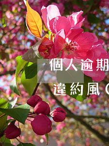 個人逾期影響抵押貸款嗎(個人住房抵押貸款違約風(fēng)險)