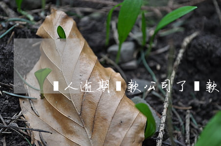 個人逾期貸款公司了(貸款有逾期)