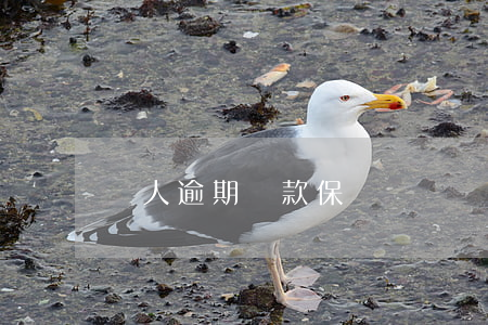 個人逾期還款保證書