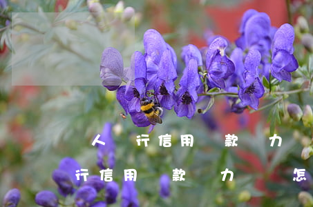 個人銀行信用貸款無力償還怎么辦-個人銀行信用貸款無力償還怎么辦理