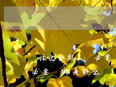 個性化分期三個必要條件-個性化分期三個必要條件是什么