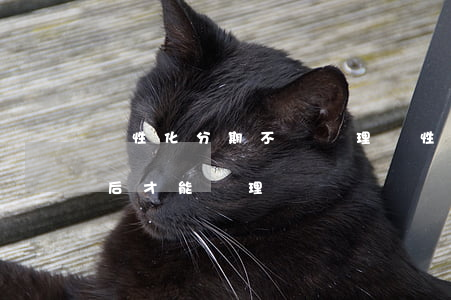 個性化分期不給辦理 個性化分期一定要逾期后才能辦理嗎