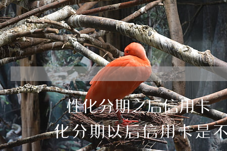 個性化分期之后信用卡額度還能用嗎-個性化分期以后信用卡是不是就不能用了