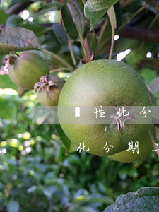 個性化分期二次逾期后會連累家人嗎-個性化分期二次逾期后果是什么