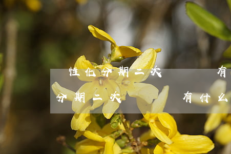 個性化分期二次違約會有什么后果-個性化分期二次違約會有什么后果嗎