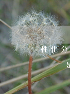 個性化分期什么時候申請最佳(個性化分期最長時間是多久)