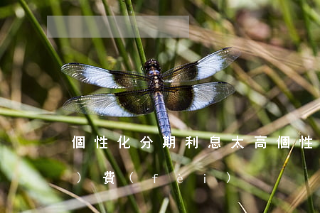 個性化分期利息太高(個性化分期 手續(xù)費(fèi))