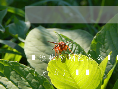 個性化分期包怎么樣(個性化分期還收取手續(xù)費嗎)
