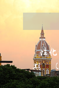 個性化分期協(xié)商渠道-個性化分期協(xié)商渠道怎么寫