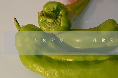 個性化分期壞處 個性化分期有利息嗎?