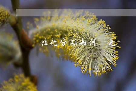 個性化分期如何減免-個性化分期可以取消嗎