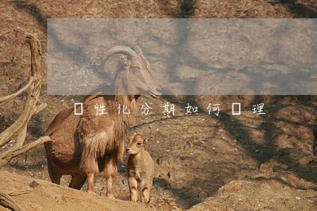 個性化分期如何辦理