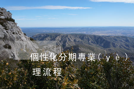 個性化分期專業(yè)服務(個性化分期辦理流程)