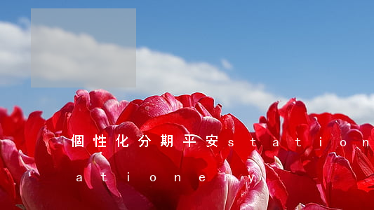 個性化分期平安(stationary stationery)