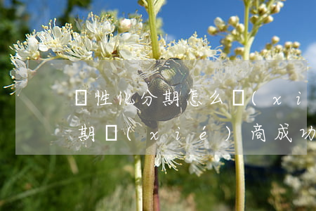 個性化分期怎么協(xié)商-個性化分期協(xié)商成功后需要怎么查